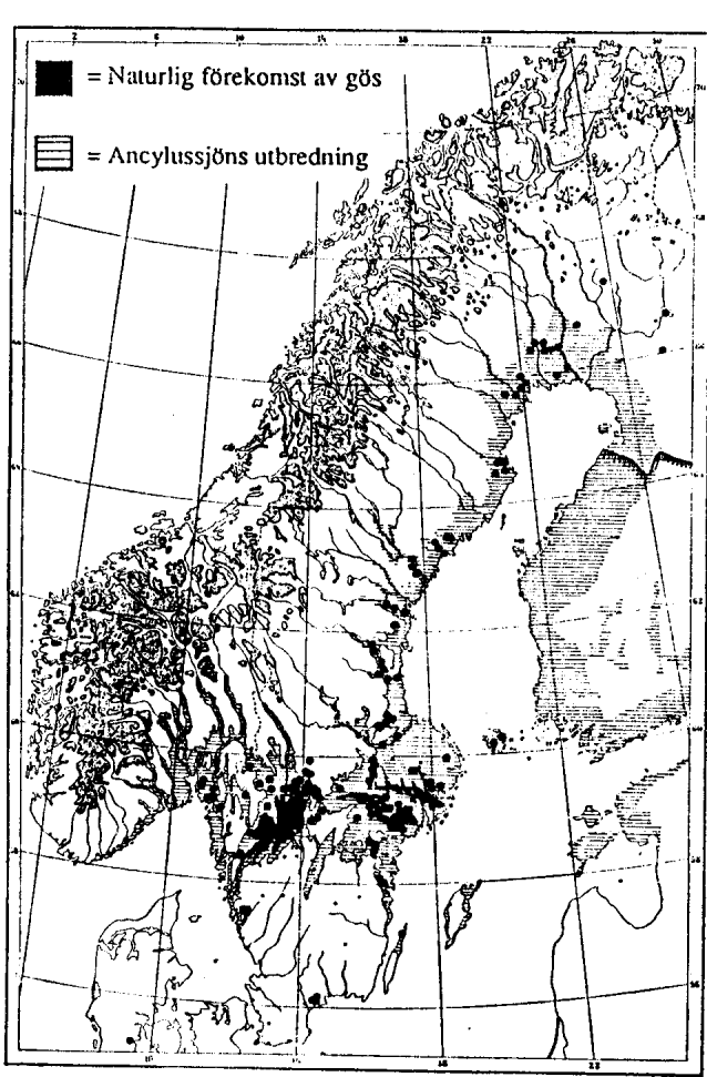 Invandringsvägar Lämpliga miljöer Ursprunglig utbredning i Sverige runt Ancalys sjön,