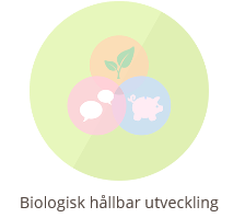 Man brukar dela upp hållbarutveckling i fyra olika principer: 1. rättvisa mellan generationer 2. rättvisa mellan alla människor på jorden 3. ekologisk balans mellan människan och naturen 4.