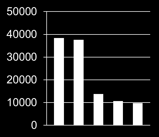 Turistbesök De fem vanligaste