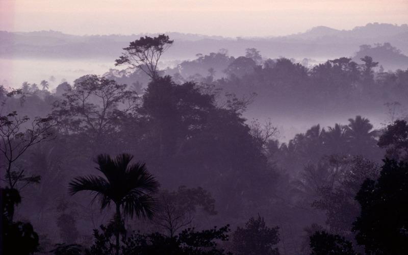 Edward Parker / WWF-Canon Ekologisk integritet Miljötillståndet närmar sig nån form av