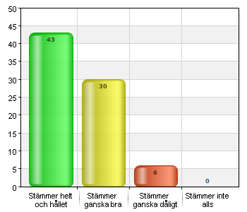 På utvecklingssamtalen får jag tydlig information om mitt barns kunskapsutveckling.