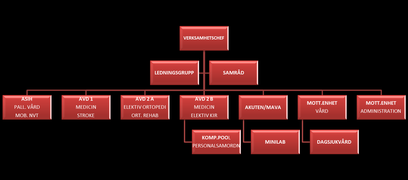 Inledning Vi har mycket att vara stolta över på Kullbergska sjukhuset.