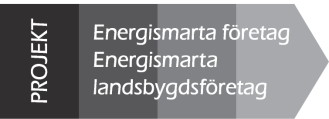 15 energikonsulter besökte 300 SME-företag i Dalarna och