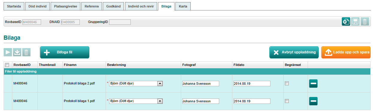 Steg 5: Komplettera med bilagor forts. Komplettera med detaljer om filerna och ladda upp dem till Rovbase. Forts. från föregående sida: 4.