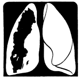 Svensk Lungmedicinsk Förening Protokoll årsmöte 2012 Årsmötesförhandlingarna i Svensk Lungmedicinsk Förening avhölls den 26 april 2012 på Folkets Hus, Idunteatern, Umeå.