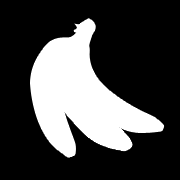 socialskydd, hänsyn till de mänskliga