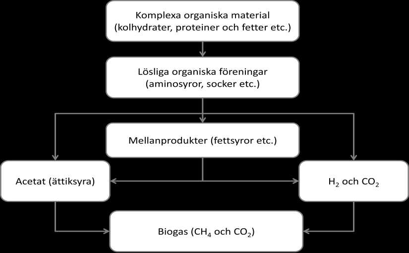 utförs av olika grupper av mikroorganismer, som ställer olika krav på sin omgivning.