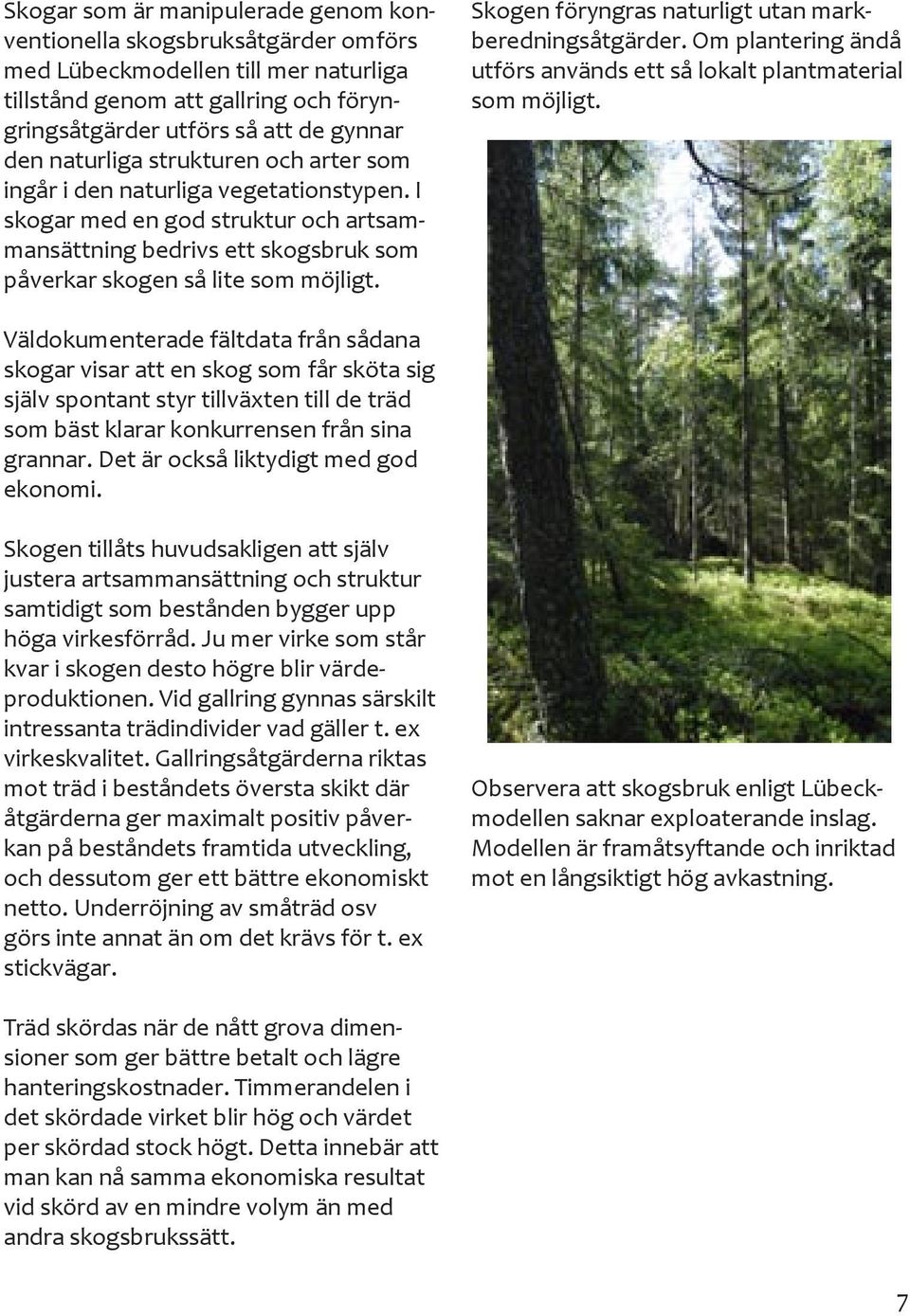 Skogen föryngras naturligt utan markberedningsåtgärder. Om plantering ändå utförs används ett så lokalt plantmaterial som möjligt.