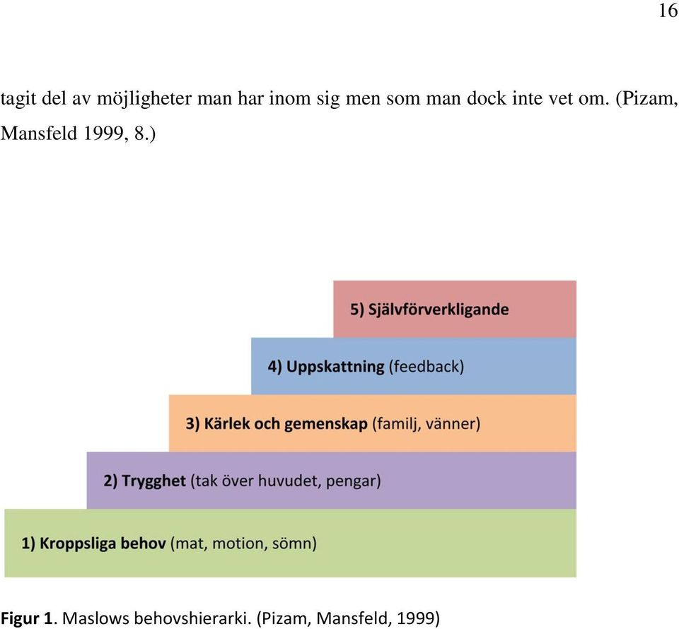 (Pizam, Mansfeld 1999, 8.) Figur 1.