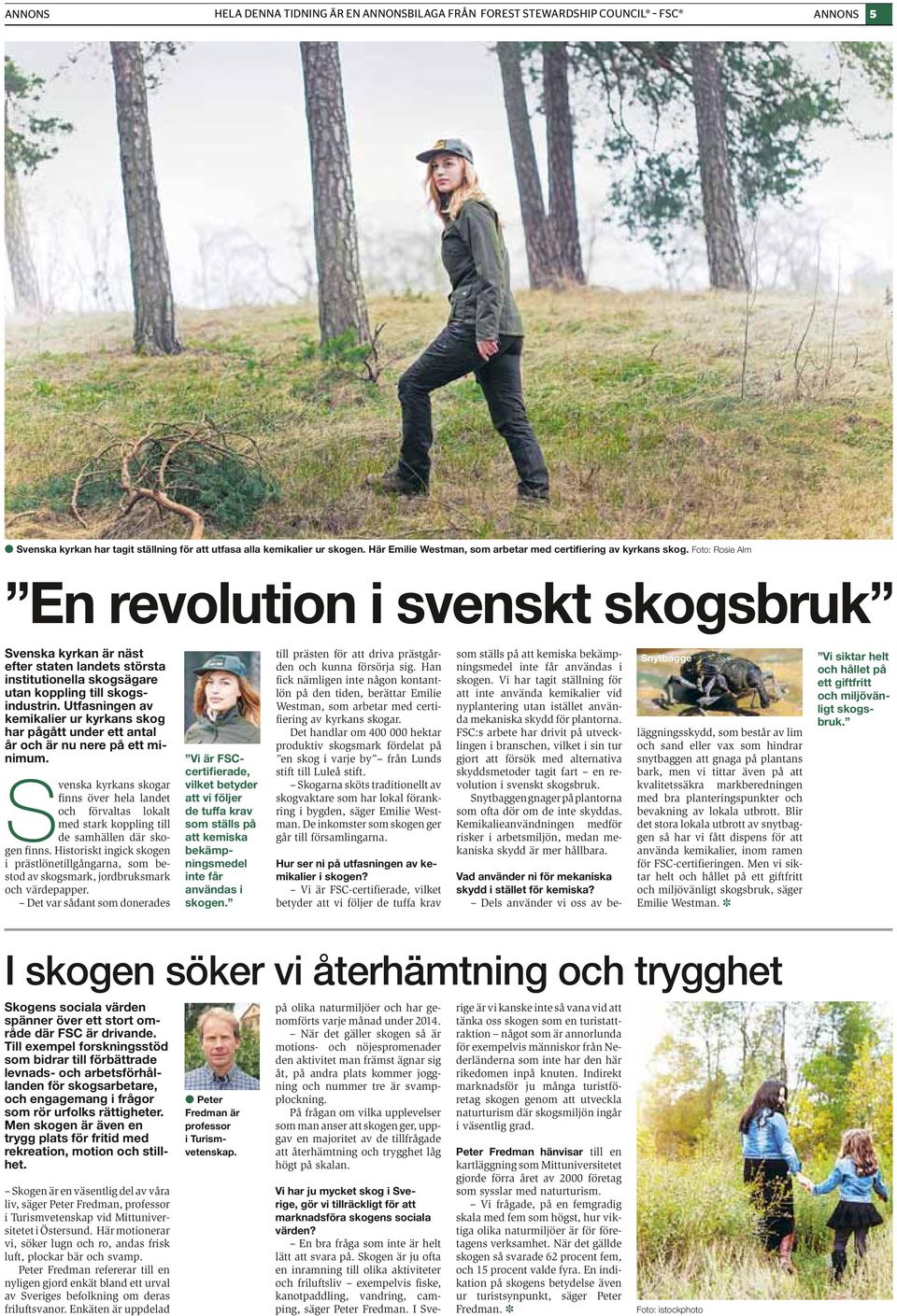 Foto: Rosie Alm En revolution i svenskt skogsbruk Svenska kyrkan är näst efter staten landets största institutionella skogsägare utan koppling till skogsindustrin.