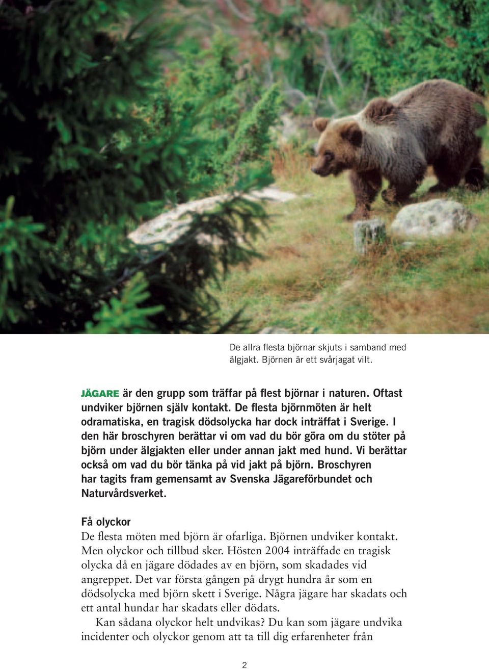 I den här broschyren berättar vi om vad du bör göra om du stöter på björn under älgjakten eller under annan jakt med hund. Vi berättar också om vad du bör tänka på vid jakt på björn.