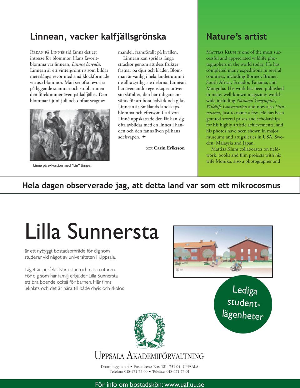 Den blommar i juni-juli och doftar svagt av Linné på exkursion med sin linnea. mandel, framförallt på kvällen. Linnean kan spridas långa sträckor genom att dess frukter fastnar på djur och kläder.