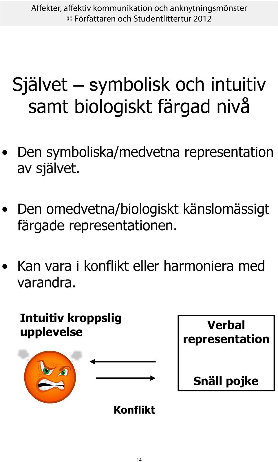 Den omedvetna/biologiskt känslomässigt färgade representationen.