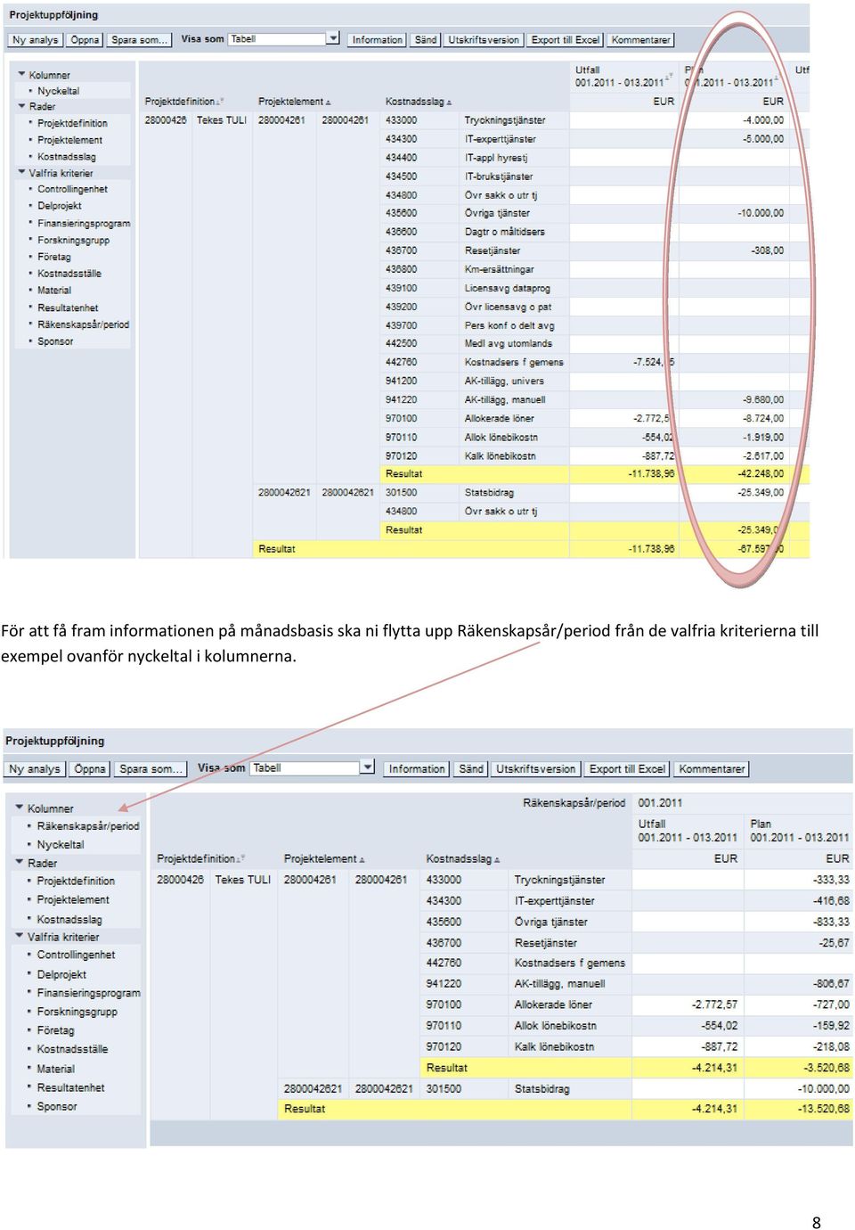 Räkenskapsår/period från de valfria