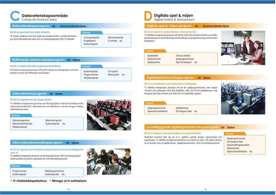 Lösningsingenjör Projektledare Systemingenjör Nätverksingenjör IT-arkitekt etc.