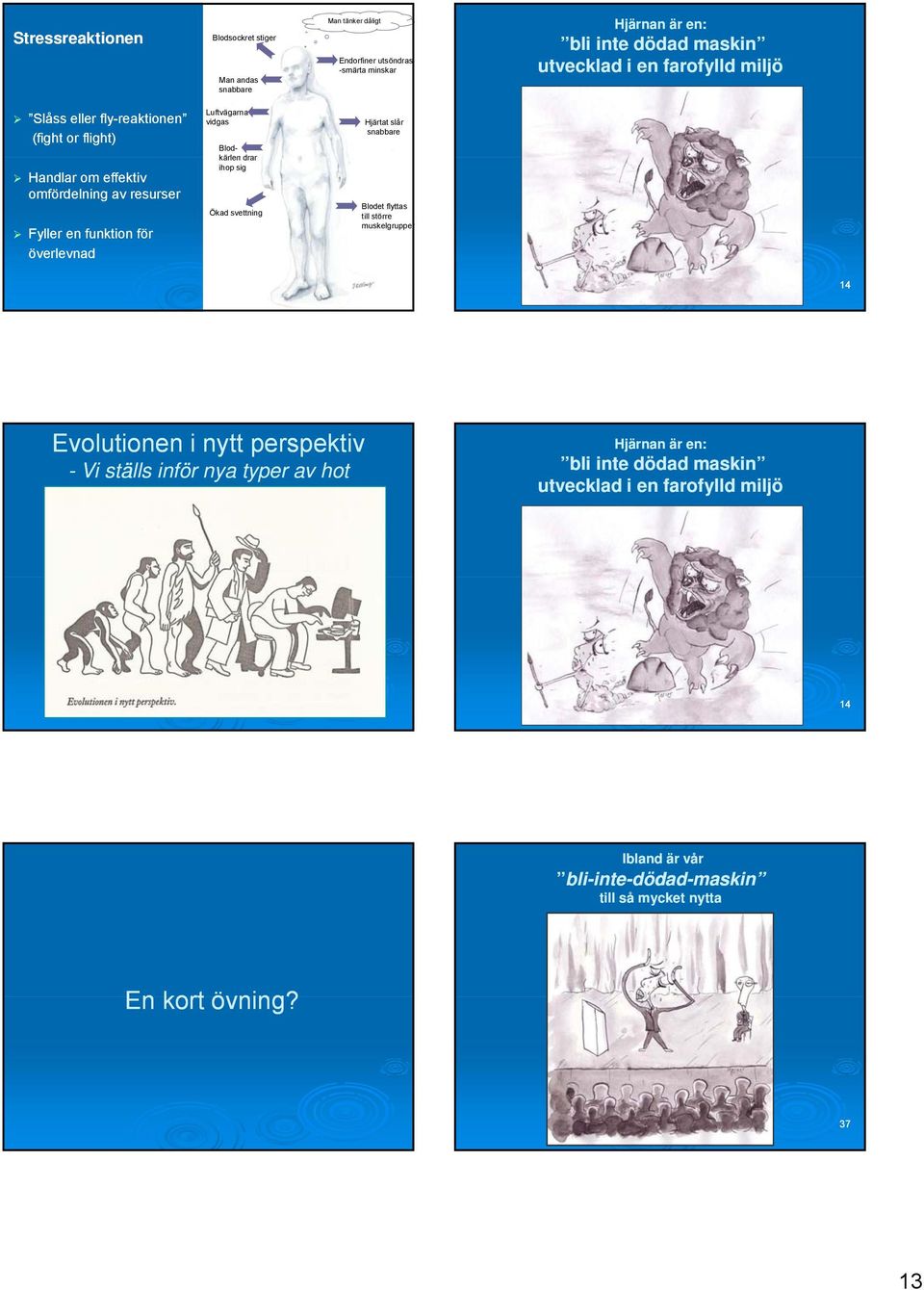 Blod- kärlen drar ihop sig Ökad svettning Hjärtat slår snabbare Blodet flyttas till större muskelgrupper 12 14 Evolutionen i nytt perspektiv - Vi ställs inför