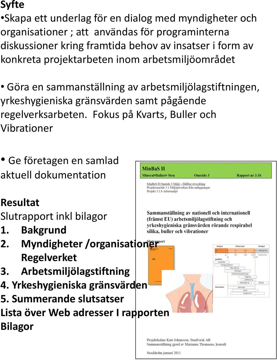 regelverksarbeten. Fokus på Kvarts, Buller och Vibrationer Ge företagen en samlad aktuell dokumentation Resultat Slutrapport inkl bilagor 1. Bakgrund 2.