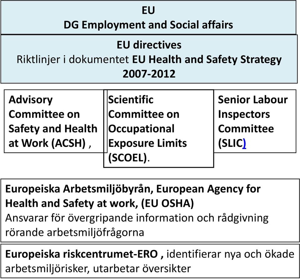 Senior Labour Inspectors Committee (SLIC) Europeiska Arbetsmiljöbyrån, European Agency for Health and Safety at work, (EU OSHA)