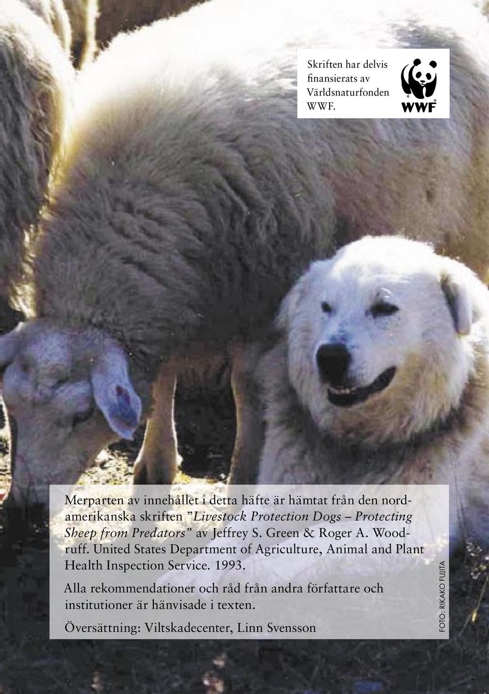 Sheep from Predators av Jeffrey S. Green & Roger A. Woodruff.