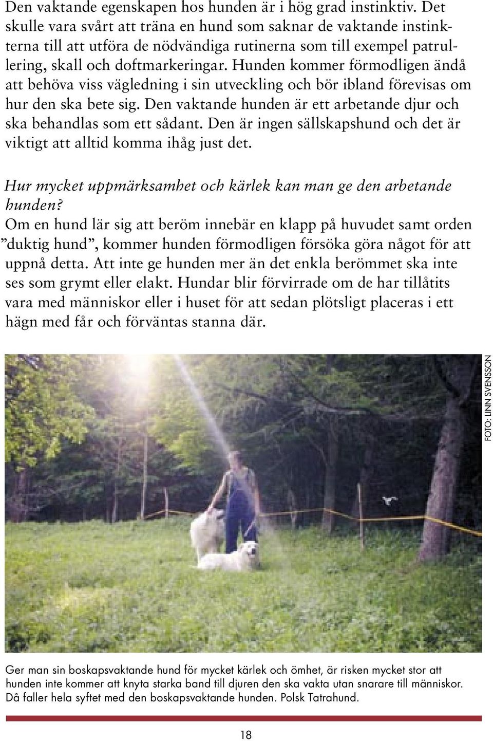 Hunden kommer förmodligen ändå att behöva viss vägledning i sin utveckling och bör ibland förevisas om hur den ska bete sig. Den vaktande hunden är ett arbetande djur och ska behandlas som ett sådant.