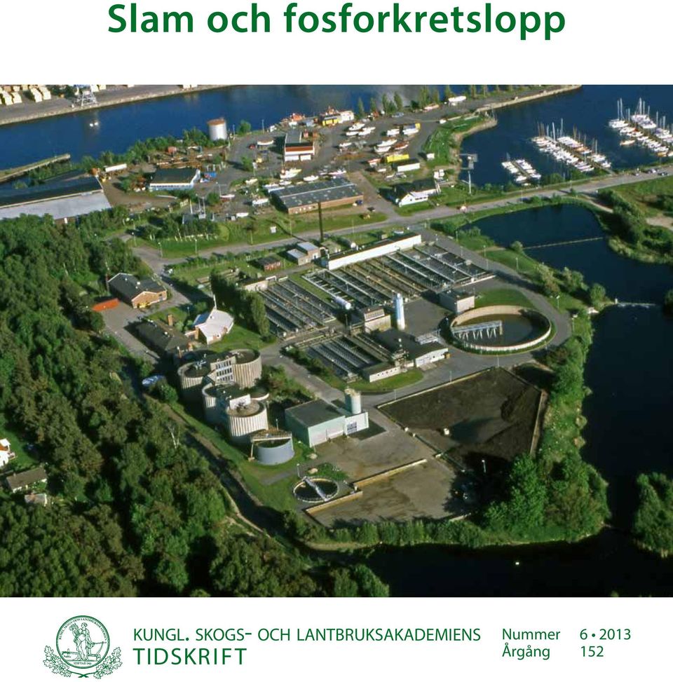 skogs- och