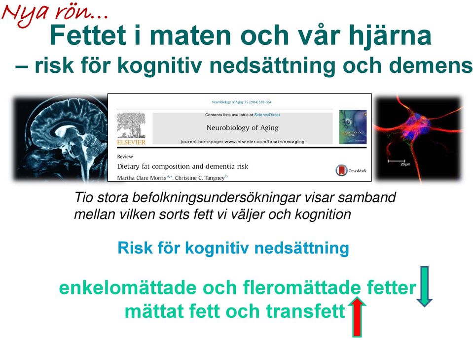 vilken sorts fett vi väljer och kognition Risk för kognitiv