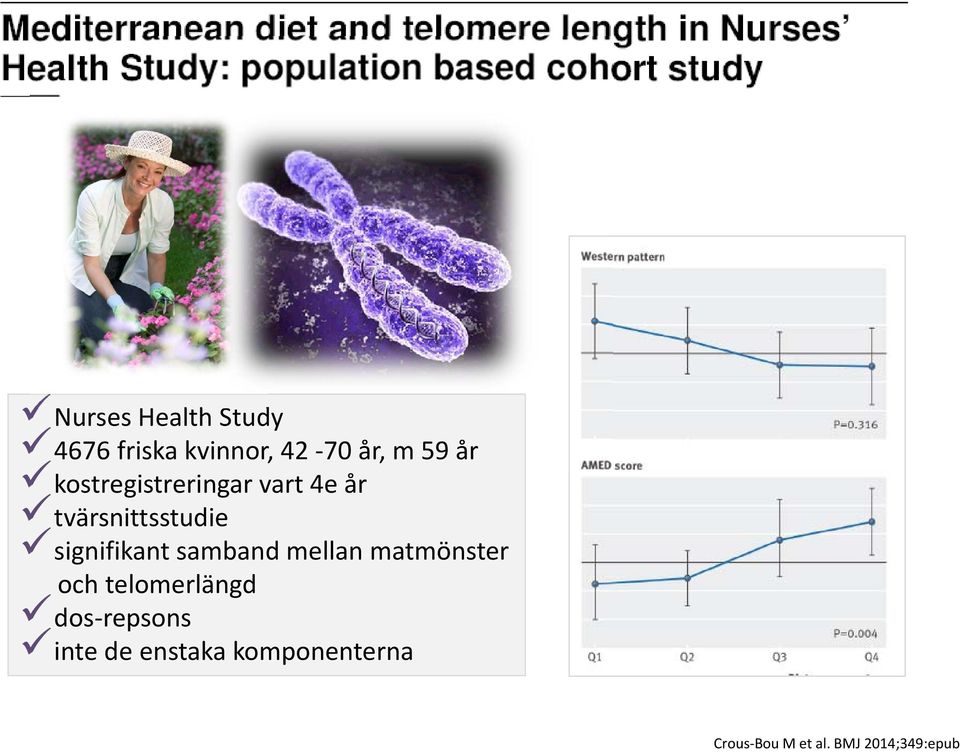 samband mellan matmönster och telomerlängd dos repsons inte