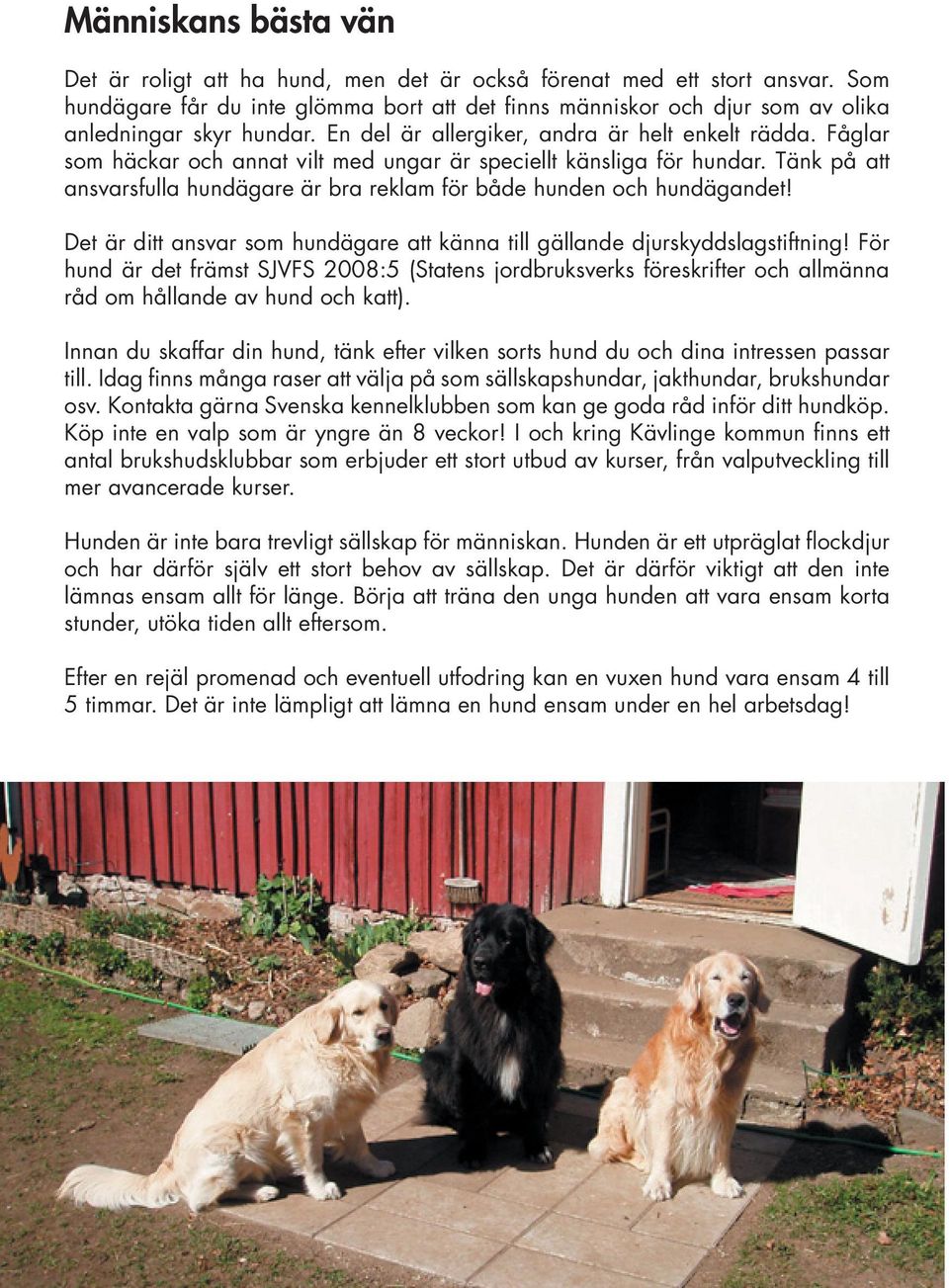 Fåglar som häckar och annat vilt med ungar är speciellt känsliga för hundar. Tänk på att ansvarsfulla hundägare är bra reklam för både hunden och hundägandet!