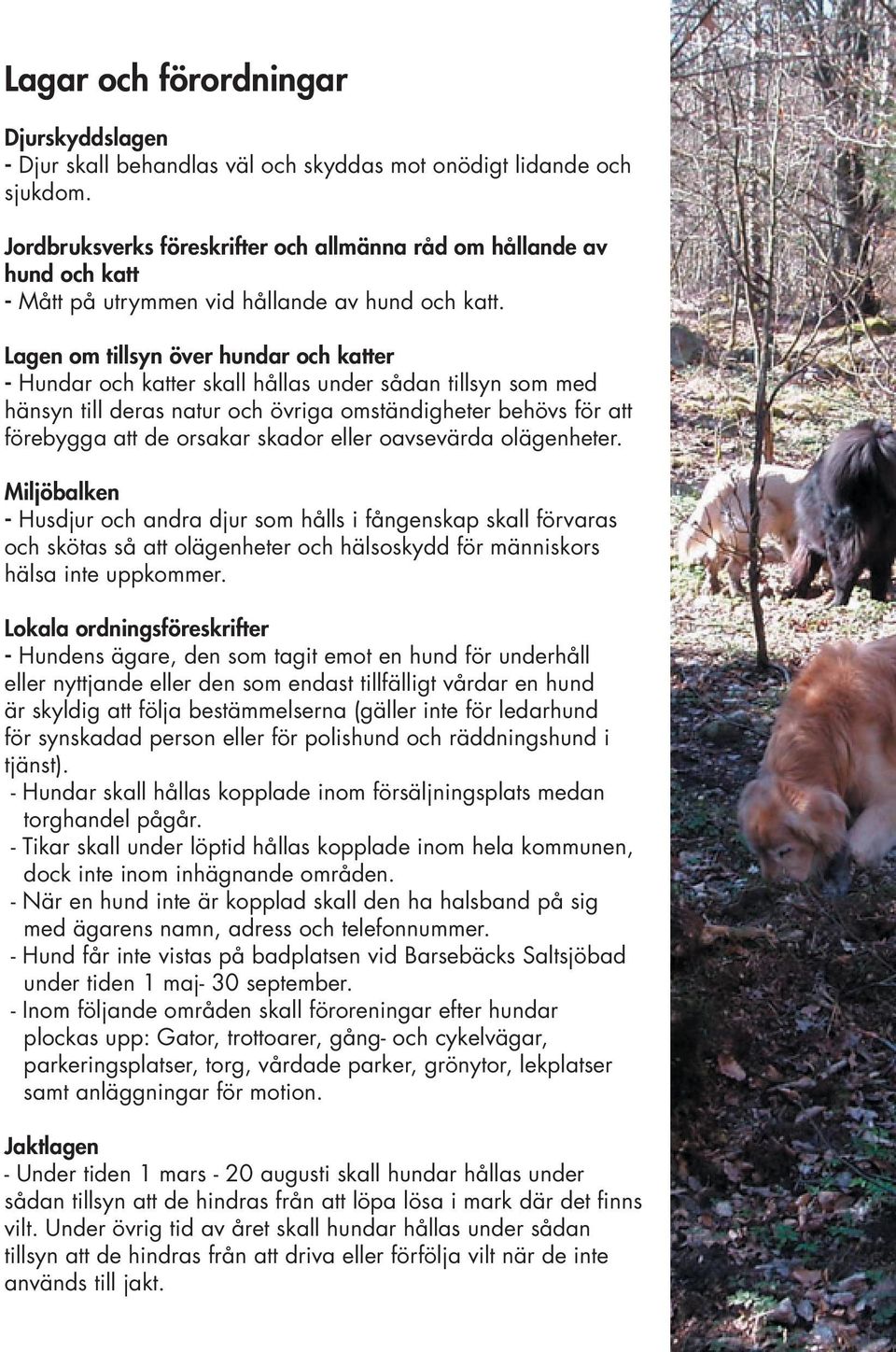 Fåglar som häckar och annat vilt med ungar är speciellt känsliga för hundar. Tänk på att ansvarsfulla hundägare är bra reklam för både hunden och hundägandet!