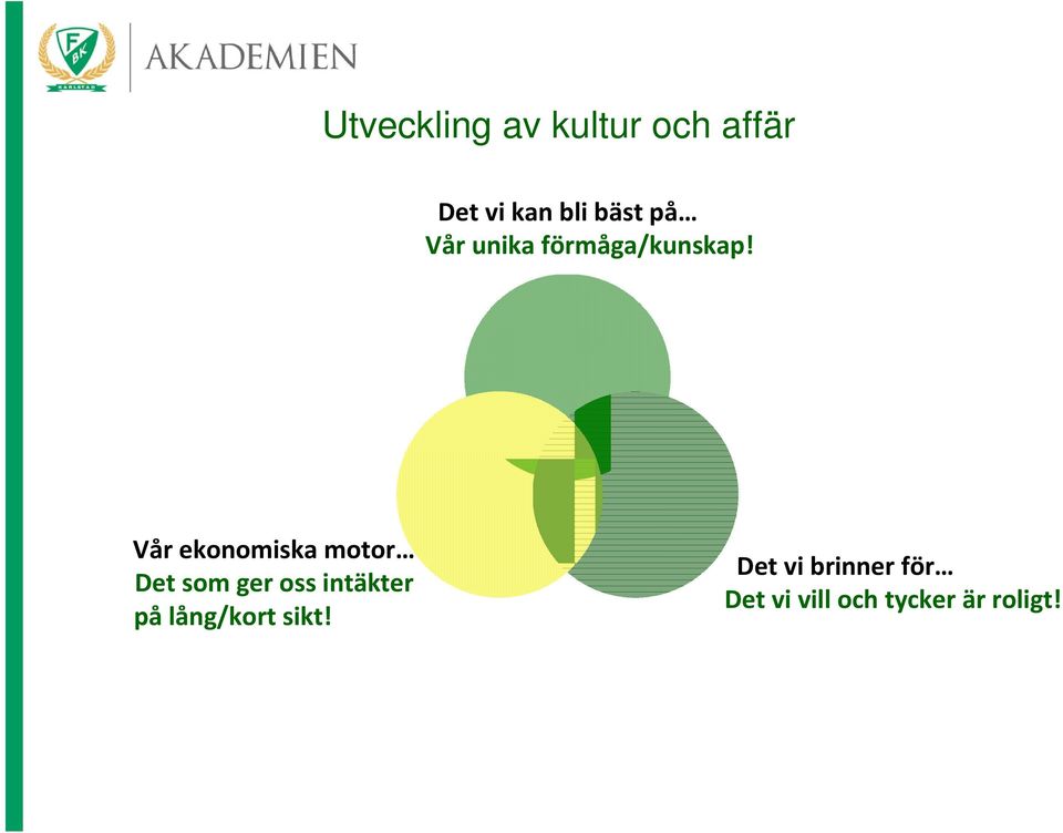 Vår ekonomiska motor Det som ger oss intäkter på