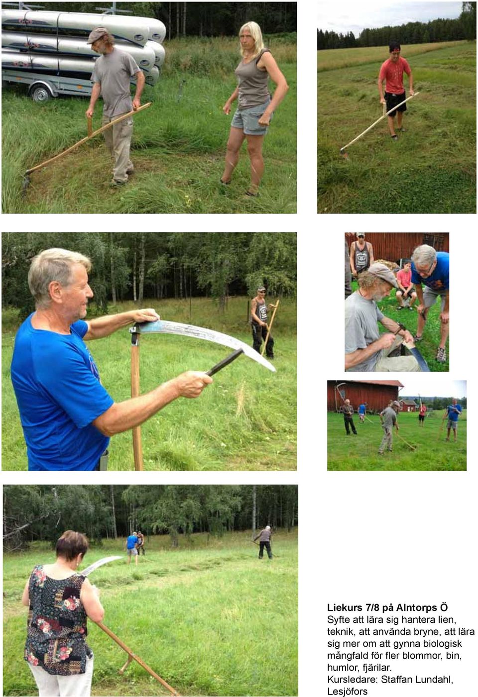 att gynna biologisk mångfald för fler blommor, bin,