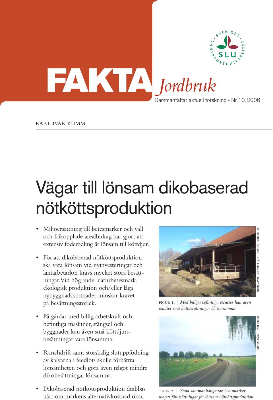 För att dikobaserad nötköttsproduktion ska vara lönsam vid nyinvesteringar och lantarbetarlön krävs mycket stora besättningar.