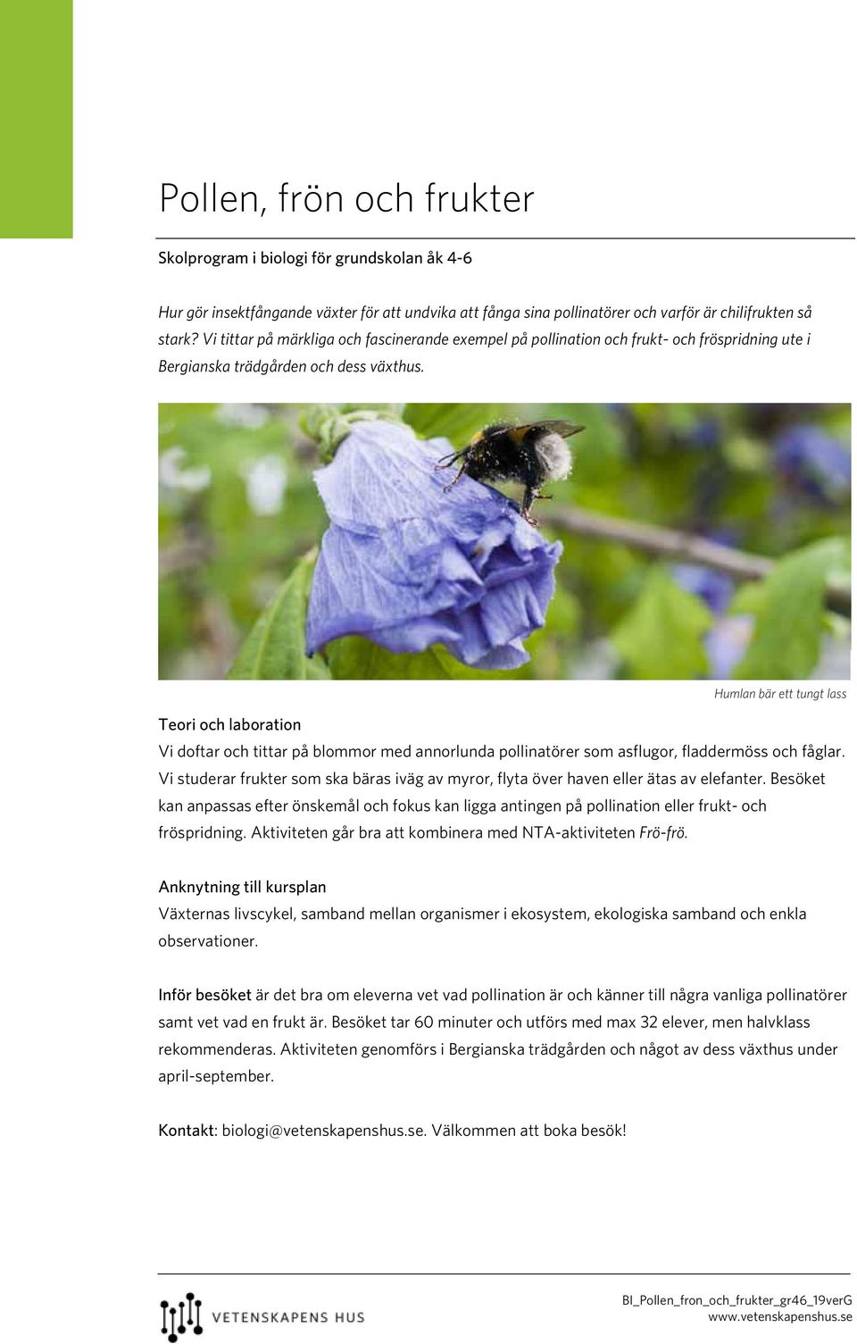 Humlan bär ett tungt lass Vi doftar och tittar på blommor med annorlunda pollinatörer som asflugor, fladdermöss och fåglar.