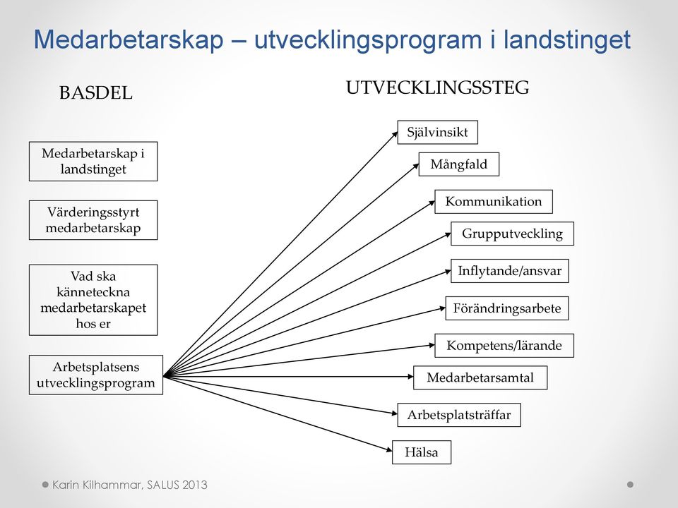 Arbetsplatsens utvecklingsprogram UTVECKLINGSSTEG Självinsikt Mångfald Kommunikation