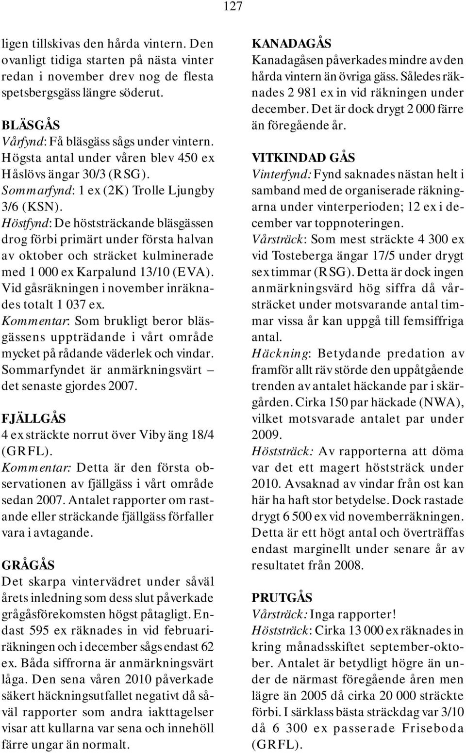 Höstfynd: De höststräckande bläsgässen drog förbi primärt under första halvan av oktober och sträcket kulminerade med 1 000 ex Karpalund 13/10 (EVA).