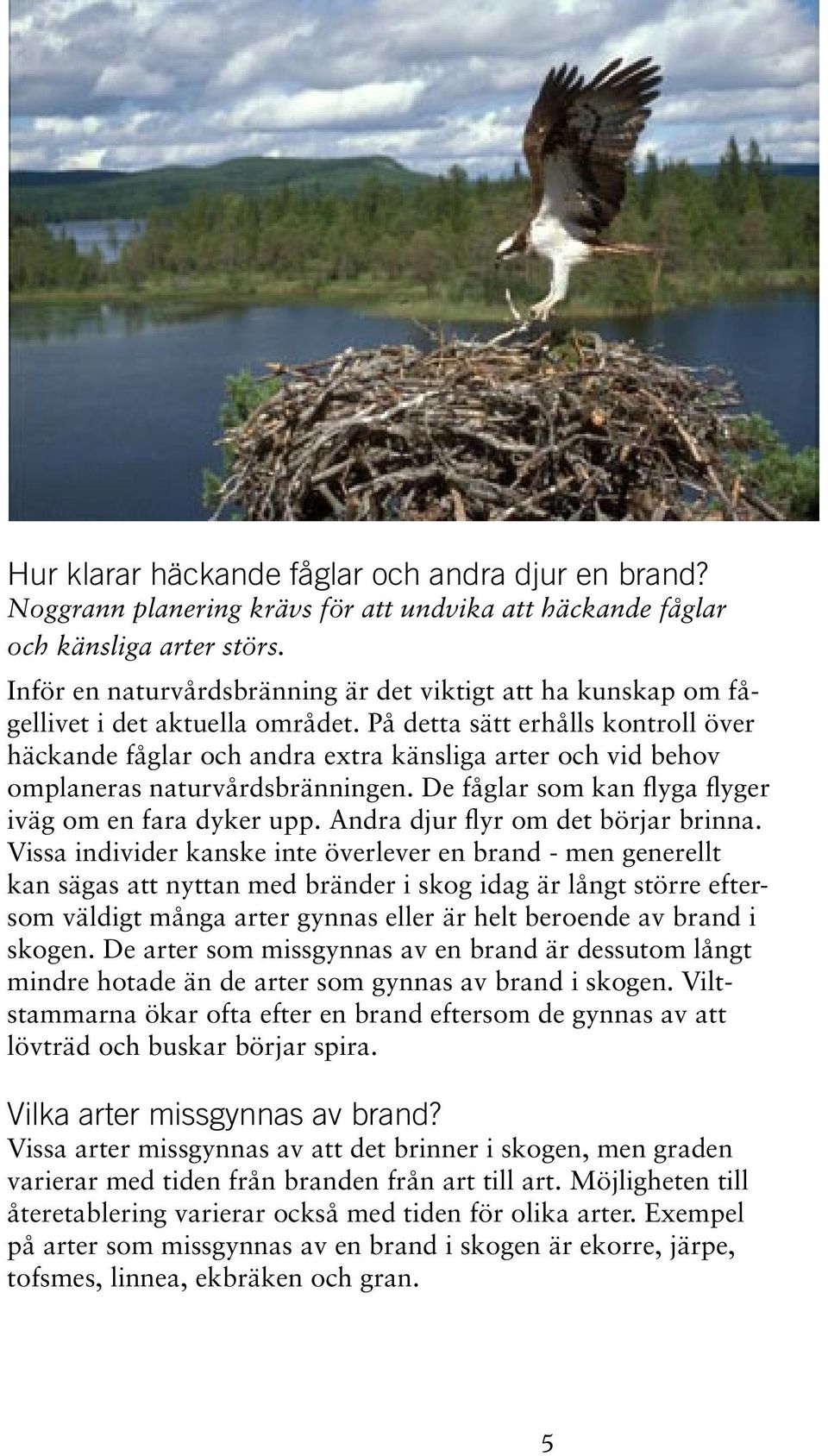 På detta sätt erhålls kontroll över häckande fåglar och andra extra känsliga arter och vid behov omplaneras naturvårdsbränningen. De fåglar som kan flyga flyger iväg om en fara dyker upp.