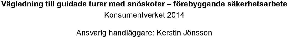 säkerhetsarbete Konsumentverket