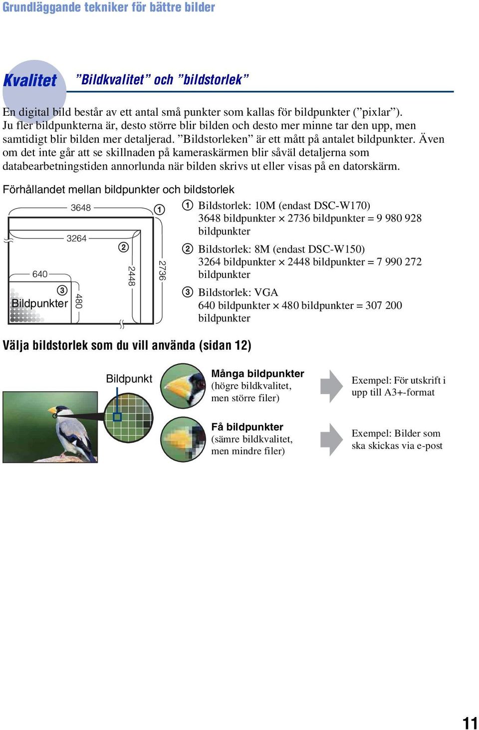 Även om det inte går att se skillnaden på kameraskärmen blir såväl detaljerna som databearbetningstiden annorlunda när bilden skrivs ut eller visas på en datorskärm.