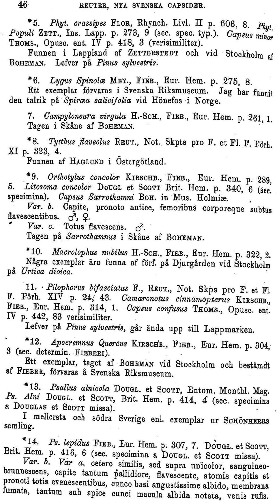 Ett exemplar f6rvaras i Svenska Riksmuseurm. Jag har funnit den tairik p& Spircea salicifolia vid Honefos i Norge. 7. Campyloneura virgula H.-ScH., FIEB., Eur. Hem. p. 261, 1.