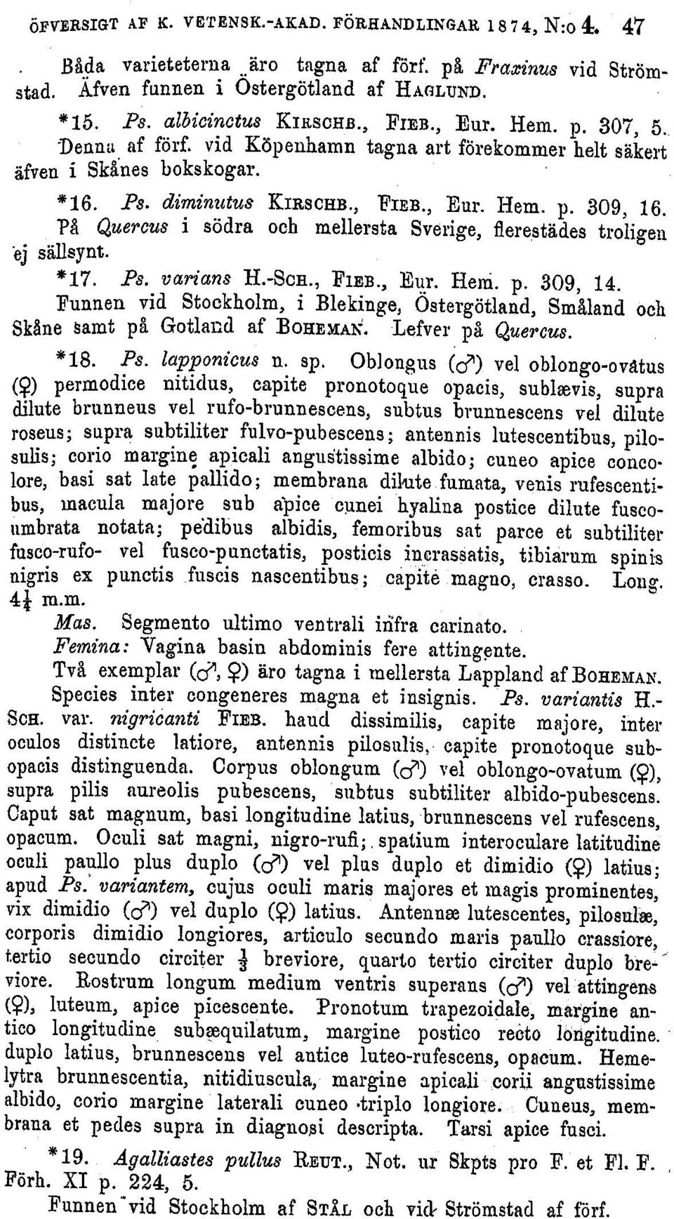 ej PA Quercus i s6dra och mellersta Sverige, flerestades troligen sallsynt. *17. Ps. varians H.-ScE., FlEB., Eur. Hem. p. 309, 14.