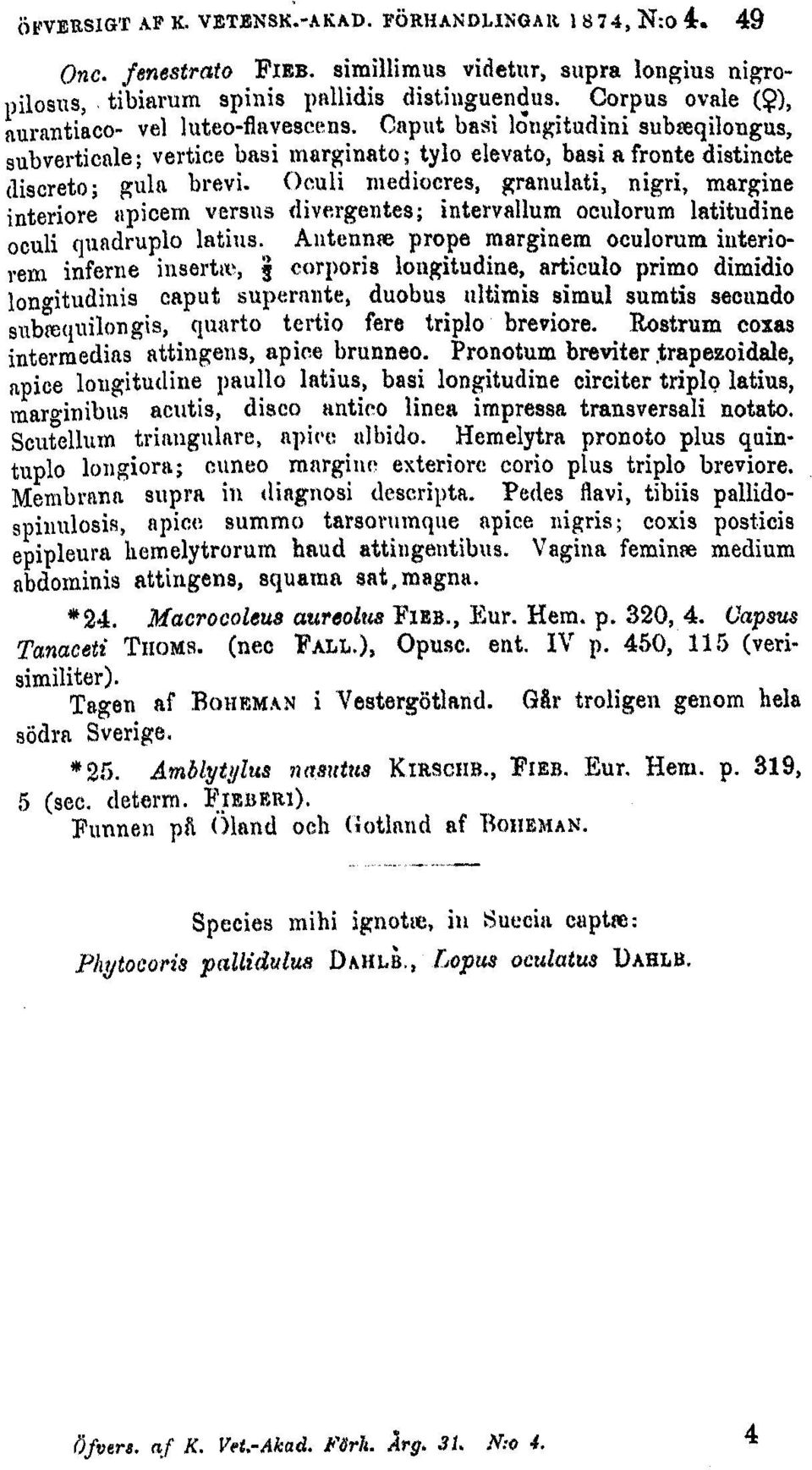 ( i)culi iediocres' granulati, nigri, margine interiore apicem versus (1ivergentes; intervallum oculorum latitudine oculi quadruplo latius.