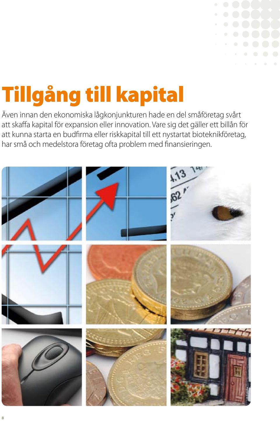 Vare sig det gäller ett billån för att kunna starta en budfirma eller riskkapital