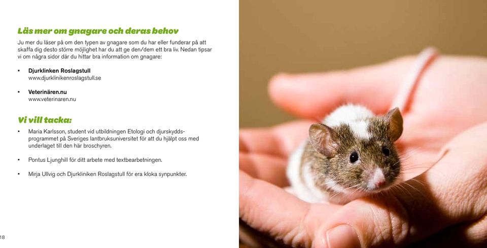 nu www.veterinaren.