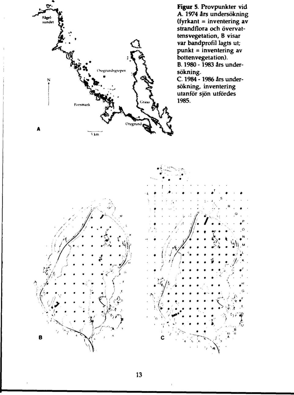 övervattensvegetation, B visar var bandprofil lagts ut; punkt = inventering av