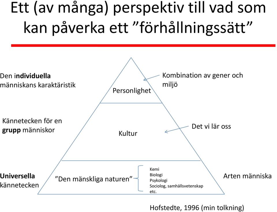 grupp människor Kultur Det vi lär oss Universella kännetecken Den mänskliga naturen Kemi