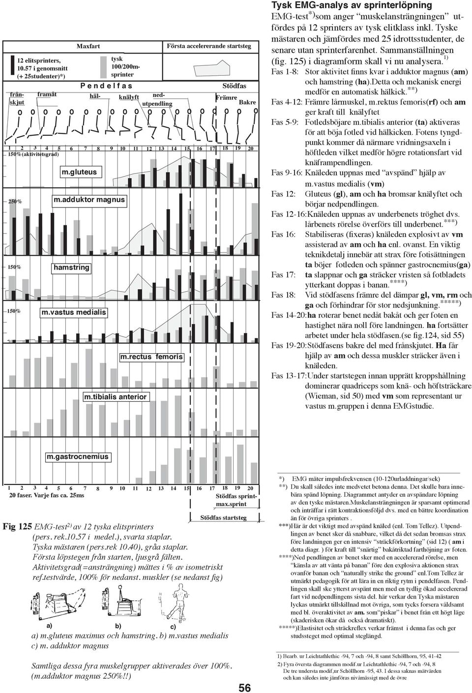 rectus femoris Stödfs Främre Bkre 1 2 3 4 5 6 7 8 9 10 11 12 13 14 15 16 17 18 19 20 150%(ktivitetsgrd) 250% 150% 150% Tysk EMG-nlys v sprinterlöpning EMG-test *) som nger muskelnsträngningen