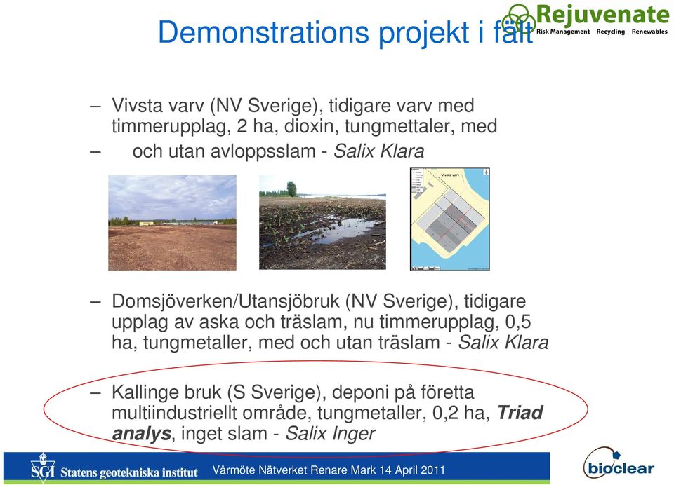 timmerupplag, 0,5 ha, tungmetaller, med och utan träslam - Salix Klara Kallinge bruk (S Sverige), deponi på företta