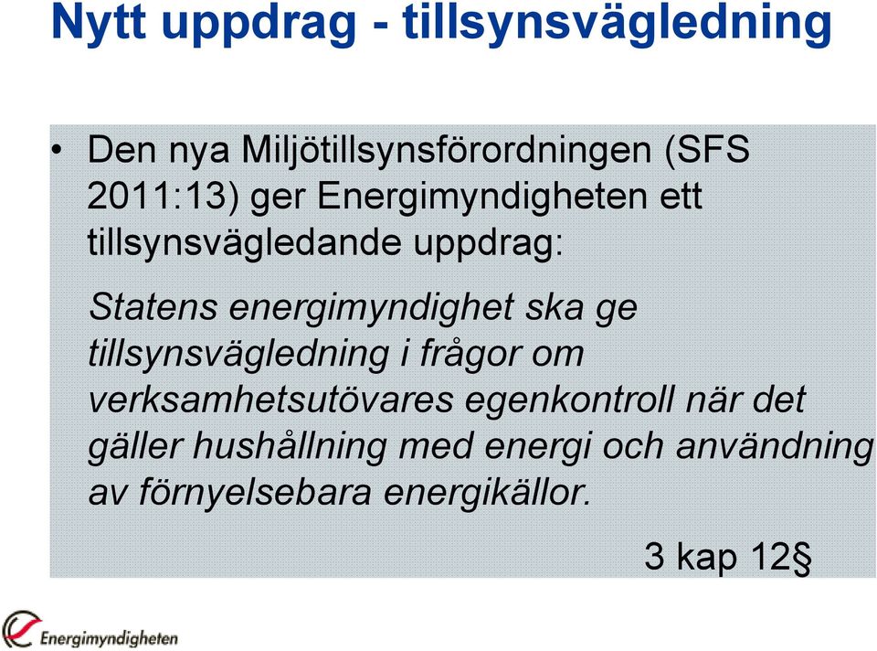 energimyndighet ska ge tillsynsvägledning i frågor om verksamhetsutövares