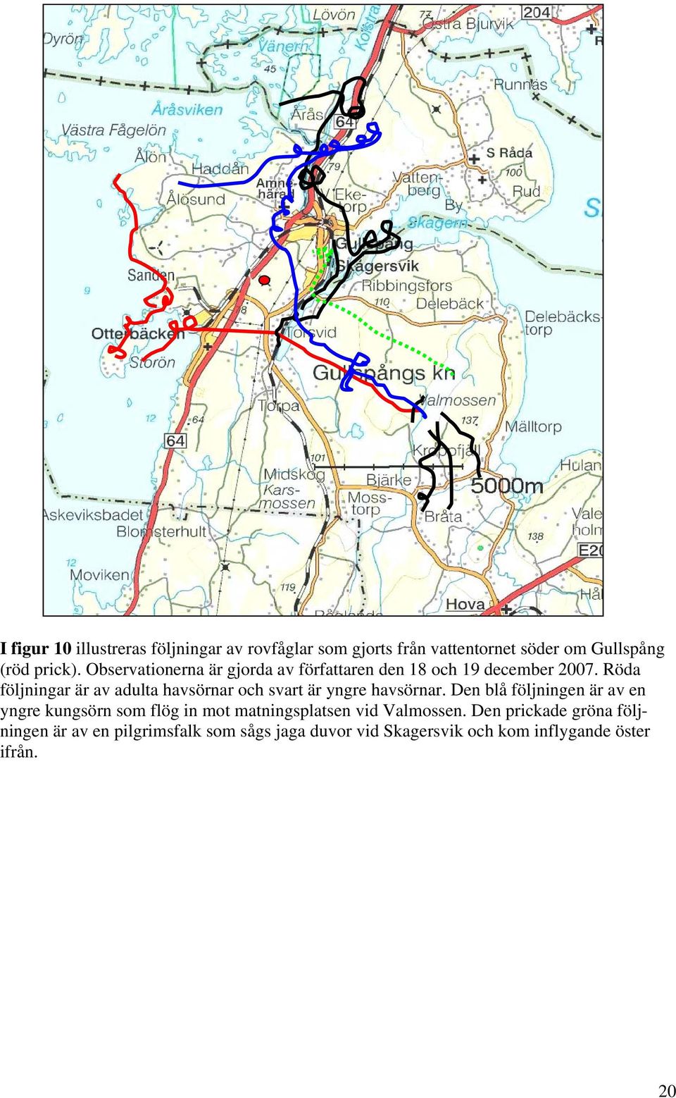 Röda följningar är av adulta havsörnar och svart är yngre havsörnar.