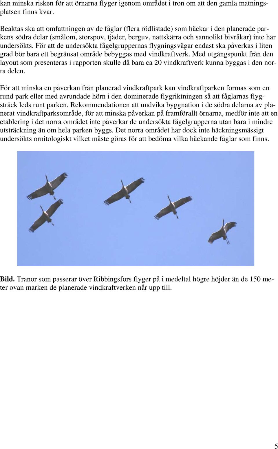 För att de undersökta fågelgruppernas flygningsvägar endast ska påverkas i liten grad bör bara ett begränsat område bebyggas med vindkraftverk.